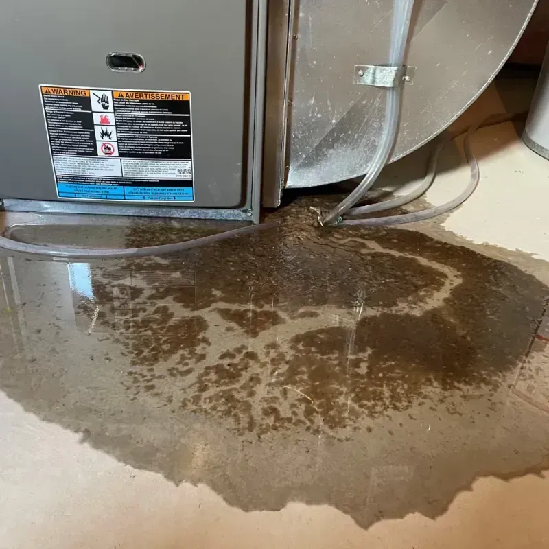 Appliance Leak Cleanup in Caledonia, WI